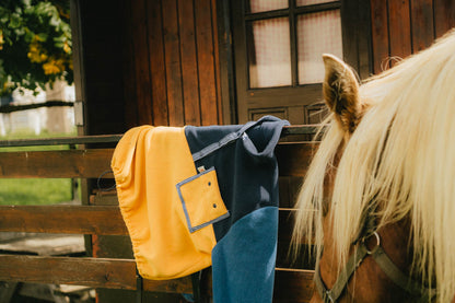 Polaire jaune x bleu