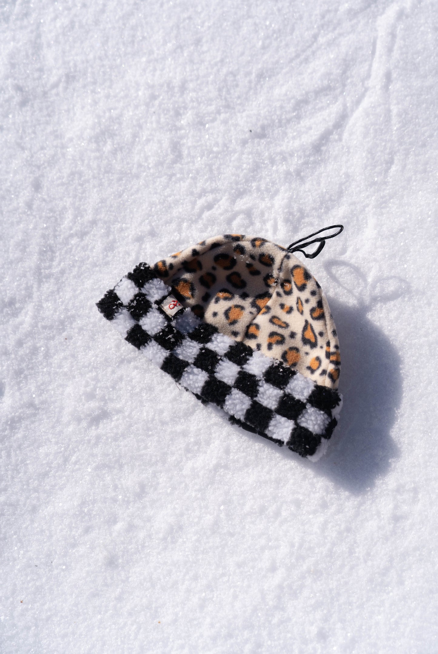 BONNET LEO x DAMIER