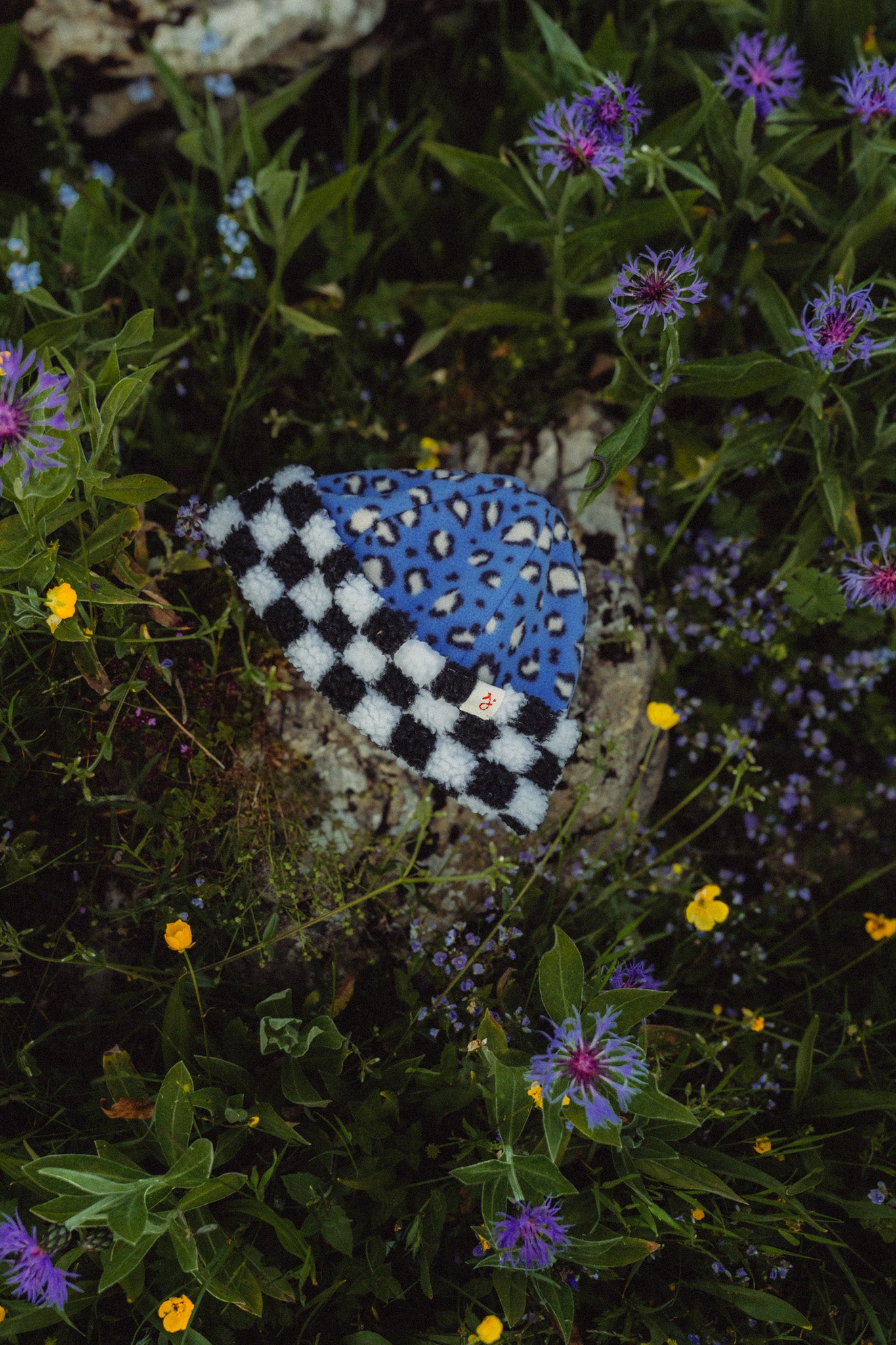 BONNET LEO BLEU x DAMIER